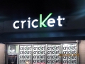 Cricket.jpg