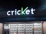 Cricket